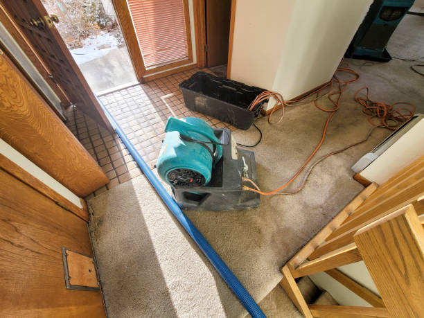 Best Fire Damage Restoration  in Hettinger, ND