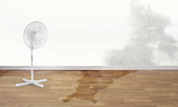 Best 24/7 water damage repair  in Hettinger, ND
