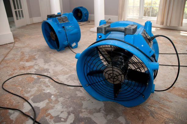 Reliable Hettinger, ND Water damage restoration Solutions
