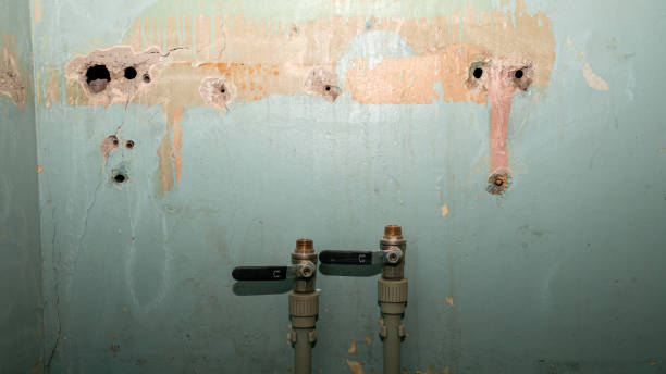  Hettinger, ND Water damage restoration Pros