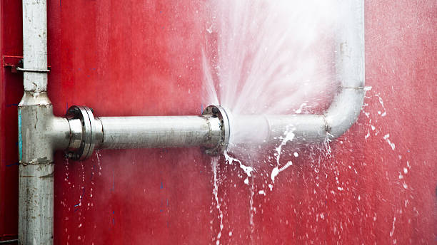 Best Carpet water damage restoration  in Hettinger, ND
